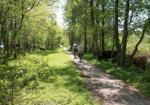 Radfahren in der malerischen Landschaft in Witte Venn