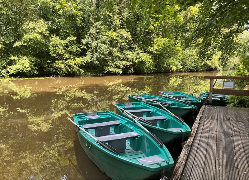 Ruderboote, die an einen Holzsteg auf einem ruhigen, von Bäumen gesäumten Fluss gebunden sind.
