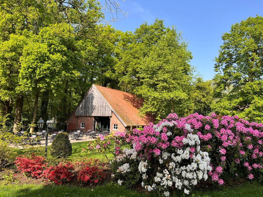 Idyllische ländliche Szene mit einem traditionellen Haus, blühenden Blumen und üppigen grünen Bäumen unter einem klaren blauen Himmel.