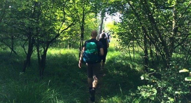 Een groep wandelt in Witte Venn