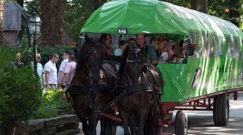 Huifkartocht in Witte Venn