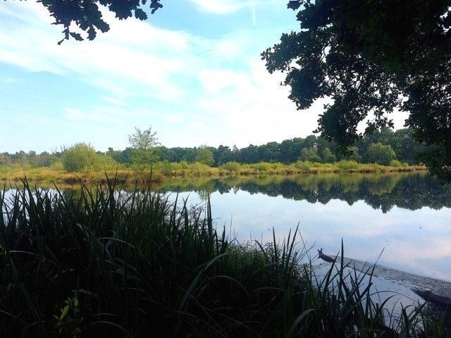 Meer in de natuur in Witte Venn
