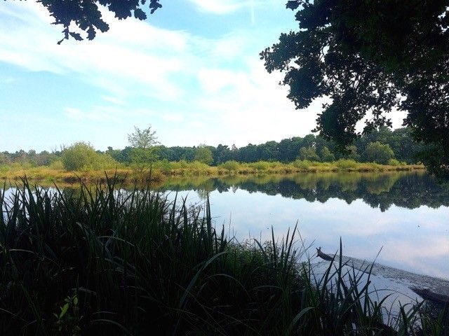 See in der Natur in Witte Venn